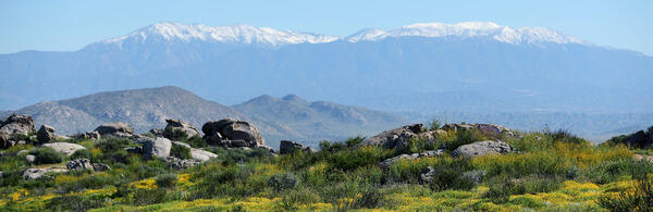 Motte Rimrock UCR Natural Reserve (c) UCR / Stan Lim