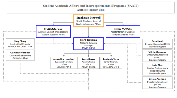 SAAIP Org Chart
